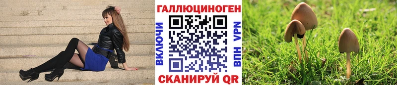 Псилоцибиновые грибы Psilocybe Волчанск